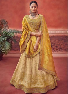 Fancy  Lehenga Choli With Banarasi Silk Dupatta